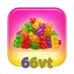 66vt